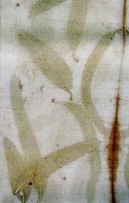 phoca_thumb_l_leaves-for-web
