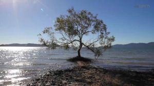 phoca_thumb_l_still image