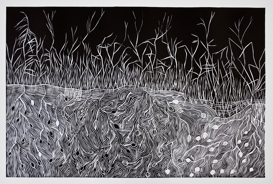 EMAIL Jurnta (Bush Onions) Susan Peters Nampitjin