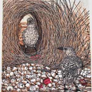 Mating Time II - Great Bowerbird