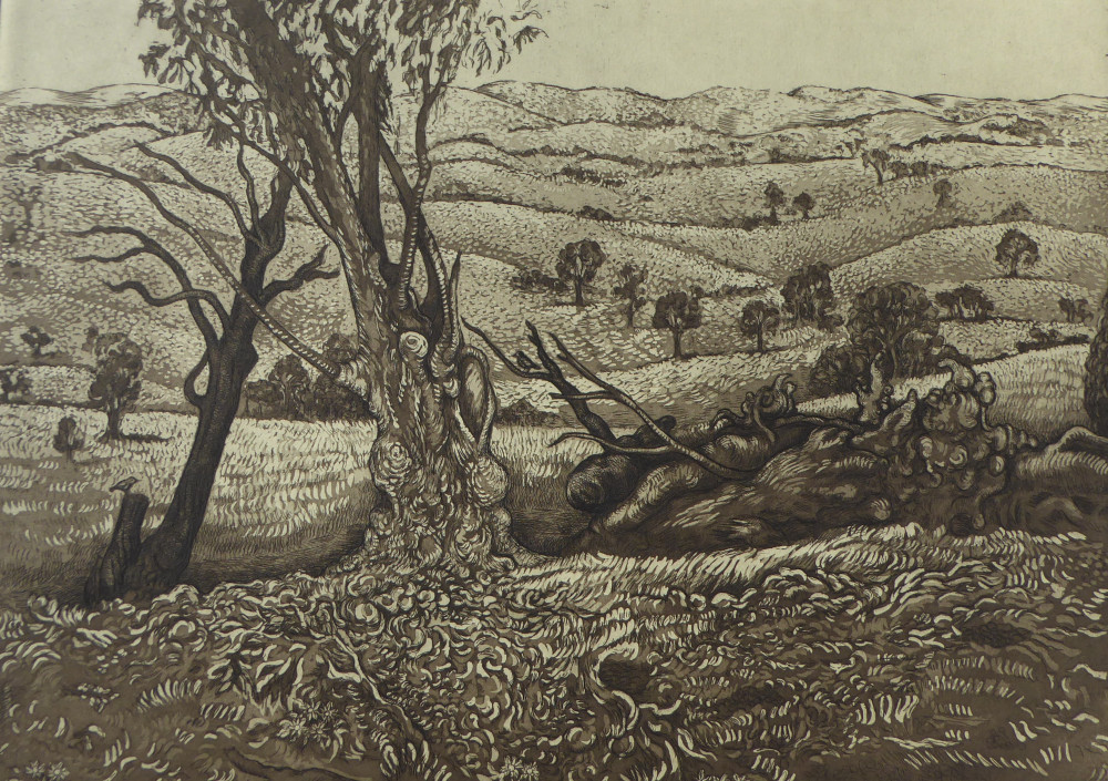 Denise Scholz-Wulfing_Paddocks & Gum Trees_Etching_2017