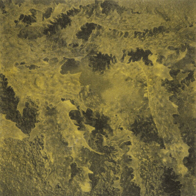 5 Hilary Warren Kelp, 2020Polymer photogravure, 12 x 12cm Kelp is found washed up on beaches following severe storms, allowing us to examine the intricate architecture of these giant algae.  This intaglio print is translated from a photograph taken by me at Broulee beach on the South Coast of NSW and uses the etching technique of polymer photogravure.
