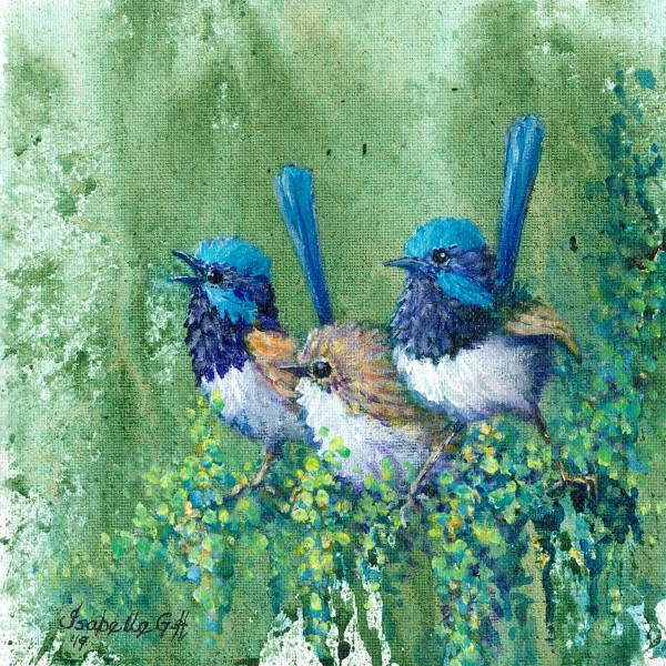 Isabelle-Gair-Hemsley_Blue Wren Family