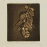 84 Terence Barrett Nature Morte (E. pleurocarpa)', 2020Mezzotint print, 12 x 12cm “Nature Morte (E. pleurocarpa)” This sepia image was pulled from a copper plate which had been roughed allover using an 85 l.p.i. rocker - the image was then created using ball burnishes. The subject was a dried branch from an Australian mallee tree (Eucalyptus pleurocarpa).  Over the years I have produced a number of small mezzotints featuring Australian plants and wild flowers.Current bid as at 3:30pm 13 November 2020: $50