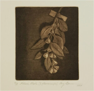 84 Terence Barrett Nature Morte (E. pleurocarpa)', 2020Mezzotint print, 12 x 12cm “Nature Morte (E. pleurocarpa)” This sepia image was pulled from a copper plate which had been roughed allover using an 85 l.p.i. rocker - the image was then created using ball burnishes. The subject was a dried branch from an Australian mallee tree (Eucalyptus pleurocarpa).  Over the years I have produced a number of small mezzotints featuring Australian plants and wild flowers.Current bid as at 3:30pm 13 November 2020: $50