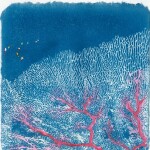 49 Claire Grant Gorgonian Fan(tasy), 2020Hand-tinted Cyanotype Print on Japanese Paper, 12 x 12cm My work uses alternative photographic processes and mixed media to represent the forms and patterns of nature.  This print is adapted from an underwater photograph taken whilst scuba-diving, printed in cyanotype and embellished with watercolour and gouache hand-tinting to emphasise the vibrancy of the reef. The gorgonian fan produces striking abstract patterns against a background of deep blue water, evoking memories of my time spent exploring the underwater landscape.Current bid as at 3:30pm 13 November 2020: $50